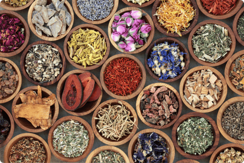 Herbal Products to Reduce Fatigue herbal products